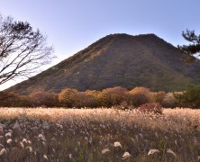 10月フォトグラフ