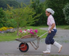 【フォトグラフ】　7月の暮らし