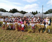 ぴよっこ・わくわく合宿 & 稲刈り🌾