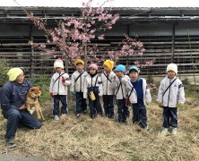 2月フォトグラフ