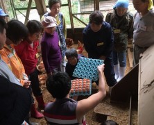 ふるさと村in六川津木実顕地