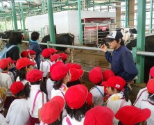 地元の小学校の遠足【春日山】