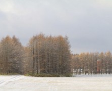 フォトグラフ11月の風景