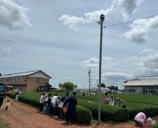お茶摘み体験