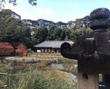 仲良し班の紅葉狩り