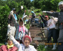 春日山仲良し班一班で六川へ摘果交流