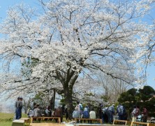 ｢春日山ケアハウス｣への入り口