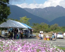 日曜市楽しかったなぁ 【内部川】