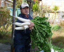 今、内部川実顕地では