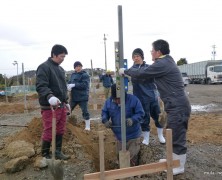 養鶏法でハウスを建てる