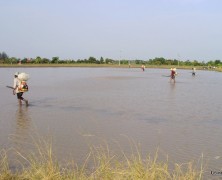 タイならではの風景　【タイ】