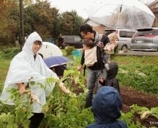 雨ならあめでやっぱり畑【北条】