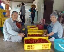 タイ交流記