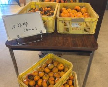 11月フォトグラフ