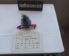 伊勢茶品評会