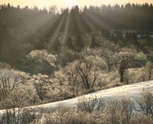 1月フォトグラフ