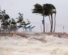 オーストラリア、サイクロン通過、その後