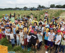 ヤマギシの村づくり (8)