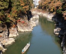 全国衣生活部研、飯田で開催