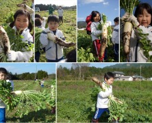 2015年　冬の楽園村