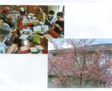 東日本大震災から１５年