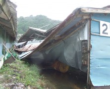 台風12号のあと　【日和佐】